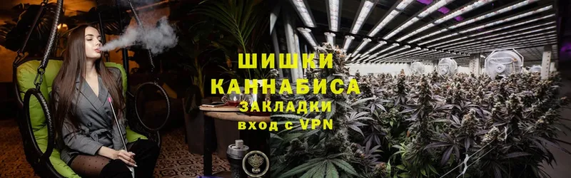 Марихуана THC 21%  Ставрополь 